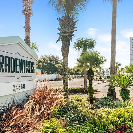 Tradewinds 1106 Villa Orange Beach Exterior photo